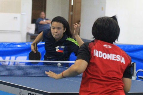 International Table Tennis Tournament 2014