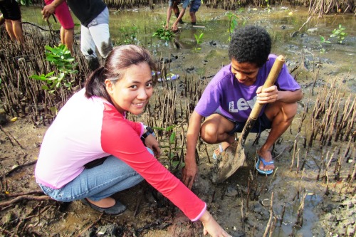 SBMA senior forest management specialist Rhea Jane Mallari (left) leads the Ecology Center mangrove restoration team in harvesting wildlings for   transplanting at the Binictican-Malawaan mangrove forest in the Subic Bay Freeport.