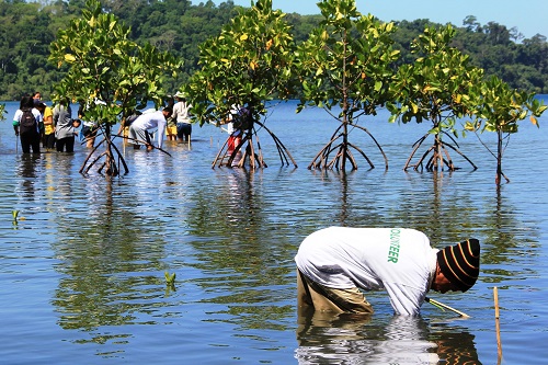 Employees of the Subic Bay Metropolitan Authority and volunteers from business companies at the Subic Bay Freeport conduct a clean-up drive at the Triboa Mangrove Park in the Subic Bay Freeport last April.